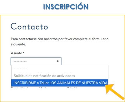 Inscripción taller LANV